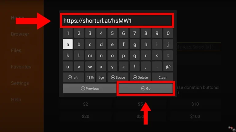 Type URL in Downloader to install ibo Player Pro
