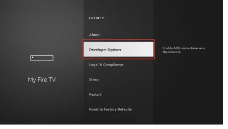 Choose Developer Options on FireStick