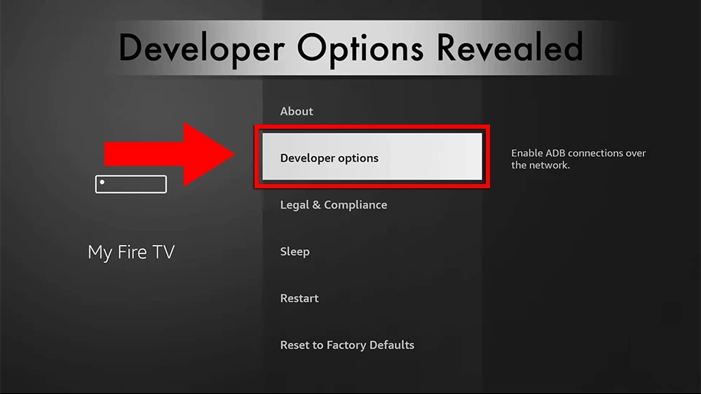 Choose Developer Options on FireStick